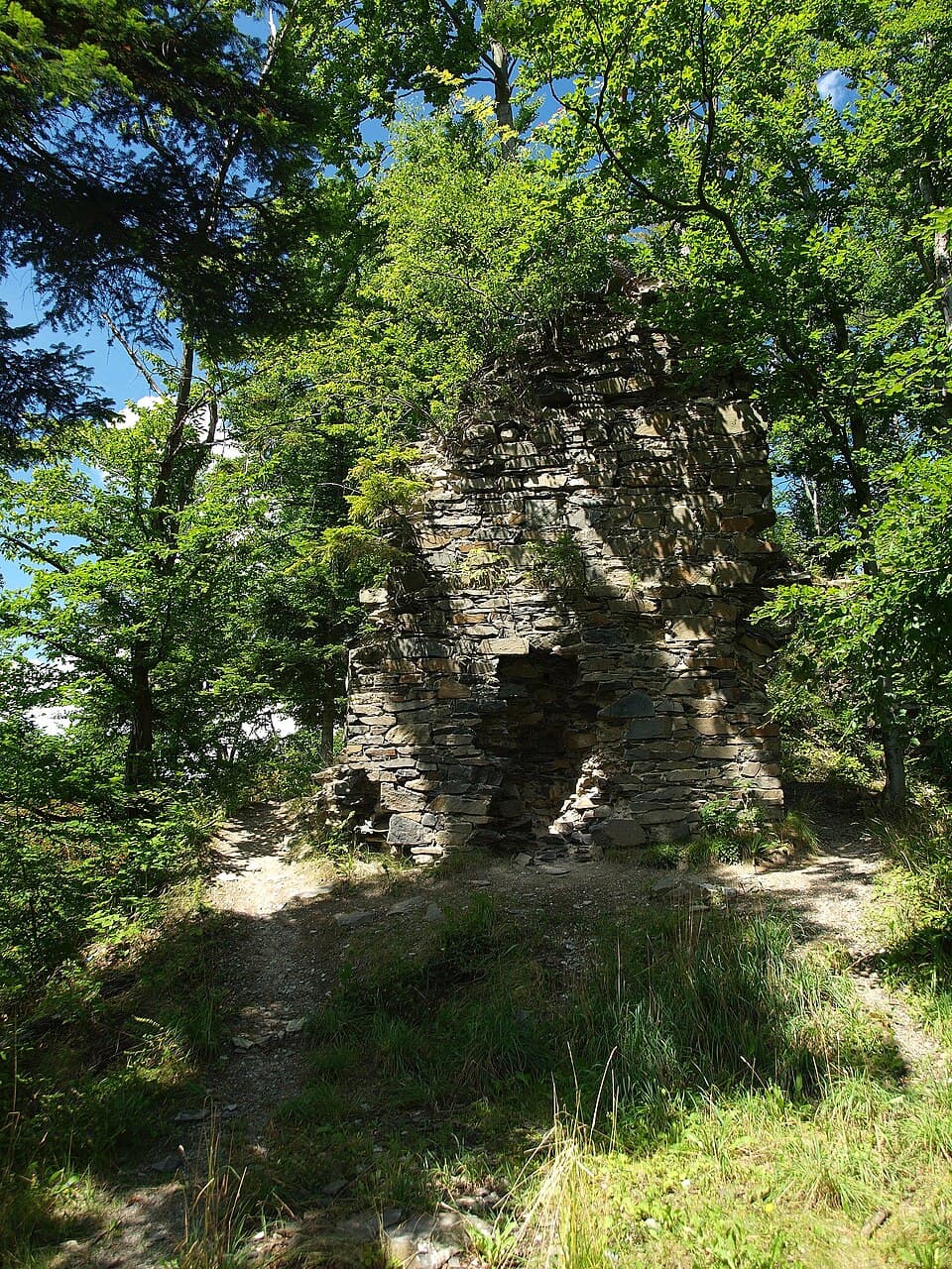 Zřícenina Hradu Puchart